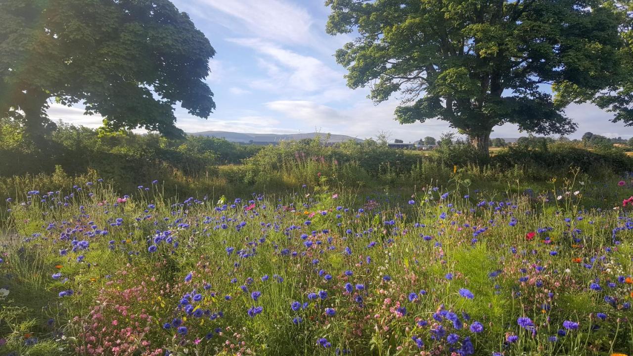 The Smiddy House * Auchterarder